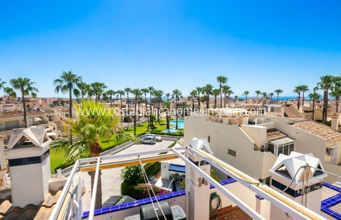 Apartment - Resale - Playa Flamenca - Playa Flamenca