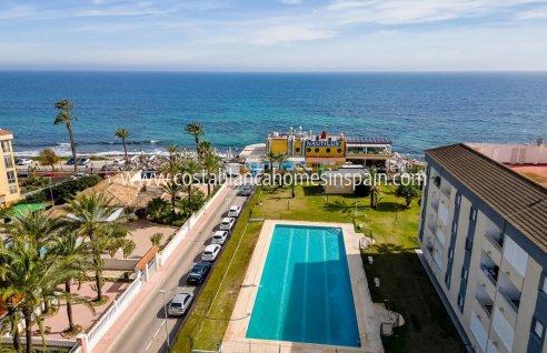 Apartment - Resale - Punta Prima - Punta Prima
