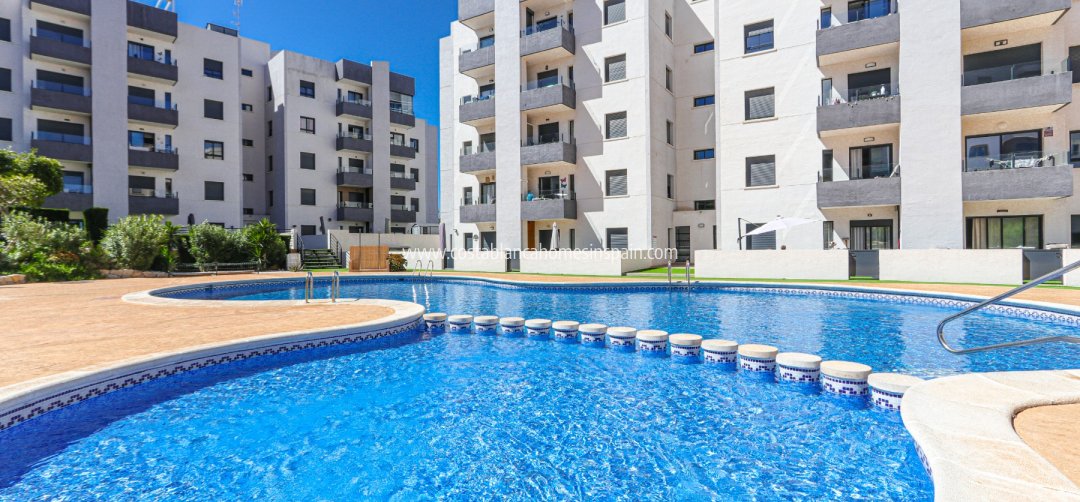 Apartment - Resale - San Miguel de Salinas - San Miguel de Salinas