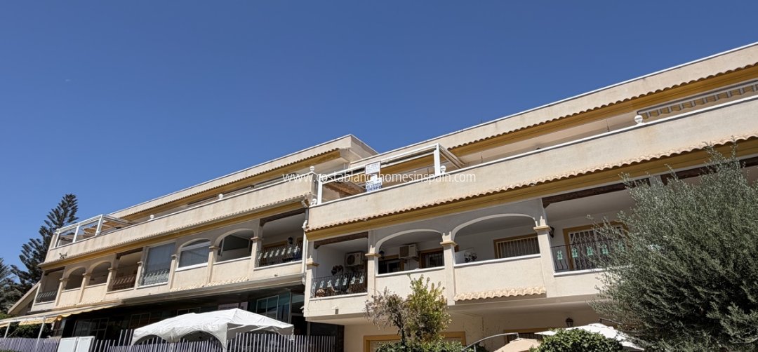 Apartment - Resale - San Miguel de Salinas - San Miguel de Salinas