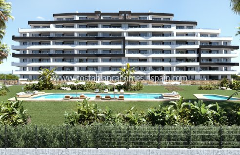 Apartment - Resale - San Miguel de Salinas - San Miguel de Salinas