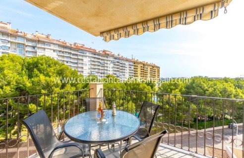Apartment - Revente - Orihuela Costa - Campoamor