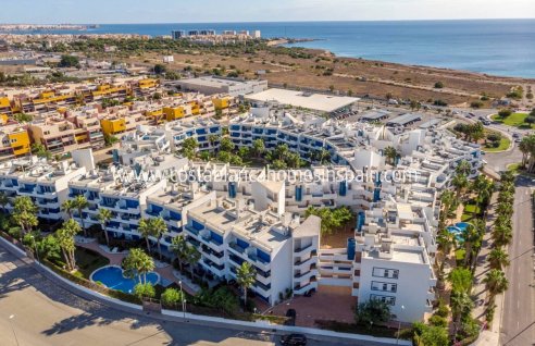 Apartment - Revente - Playa Flamenca - Orihuela Costa