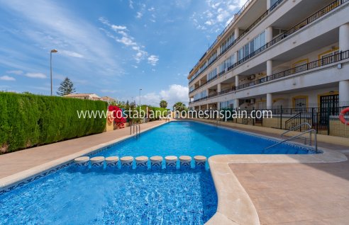 Apartment - Revente - Playa Flamenca - Playa Flamenca