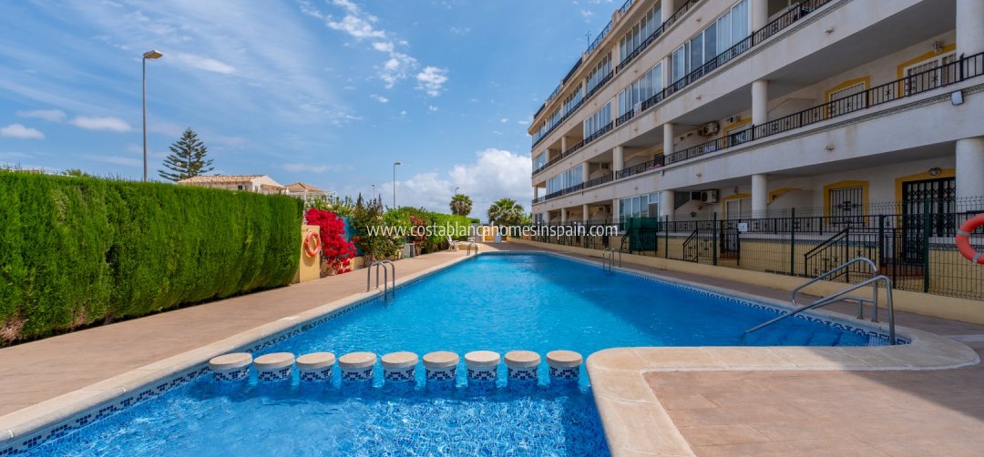 Apartment - Revente - Playa Flamenca - Playa Flamenca