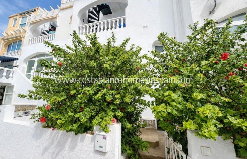 Apartment - Revente - San Miguel de Salinas - Las filipinas