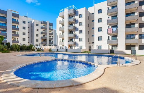 Apartment - Revente - San Miguel de Salinas - San Miguel