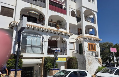 Apartment - Revente - Villamartin - Villamartin
