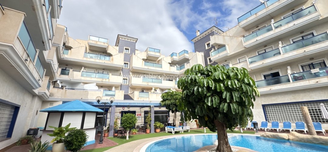 Apartment - Sale - Cabo Roig - Cabo Roig
