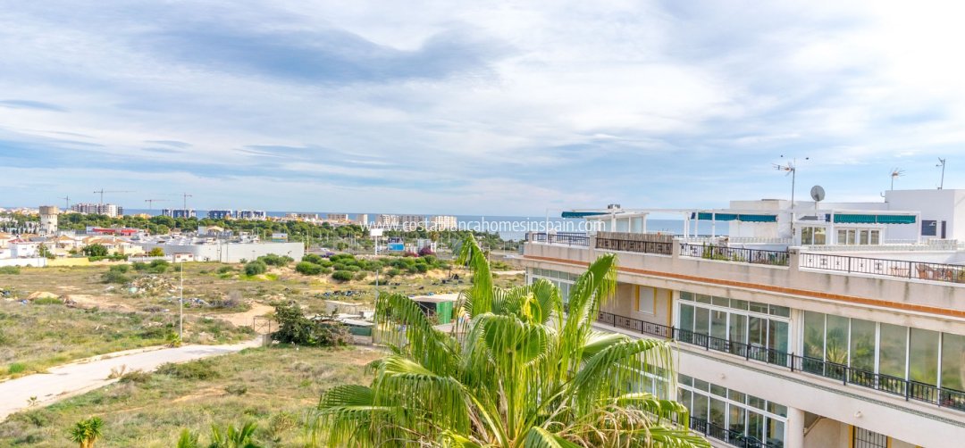 Apartment - Sale - Playa Flamenca - Orihuela Costa