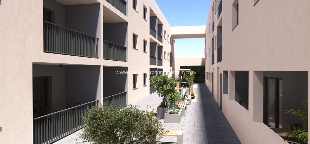 Apartment - Új építésű - San Miguel de Salinas - San Miguel de Salinas