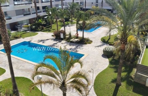 Apartment - Venta - Los Dolses - LOS DOLSES