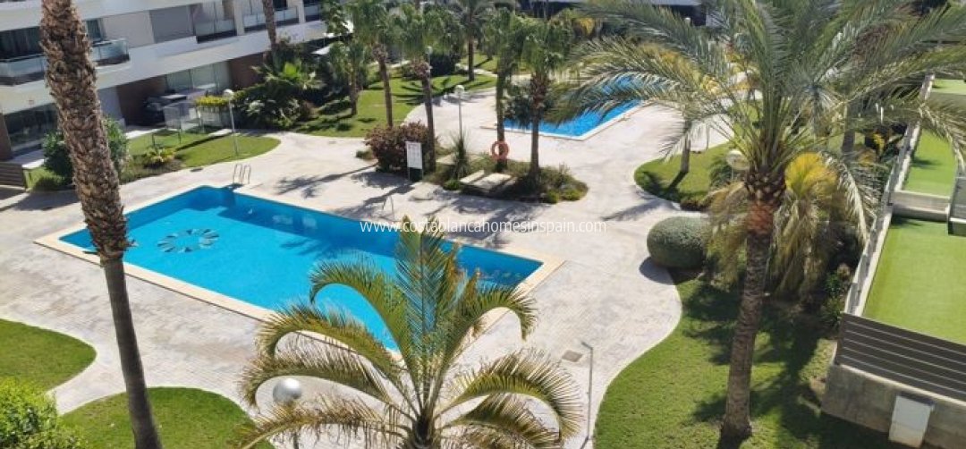 Apartment - Venta - Los Dolses - LOS DOLSES