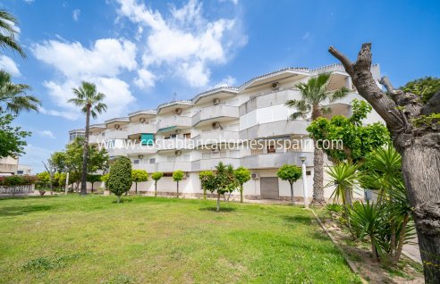 Apartment - Venta - Orihuela - Cabo Roig
