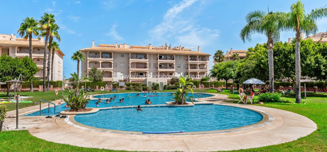 Apartment - Venta - Orihuela Costa - Playa Flamenca