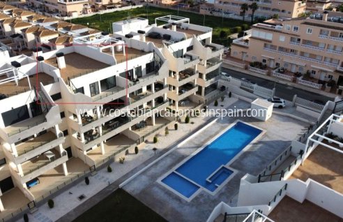 Apartment - Venta - Orihuela - Orihuela Costa