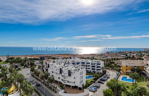 Apartment - Venta - Playa Flamenca - Costa Blanca South