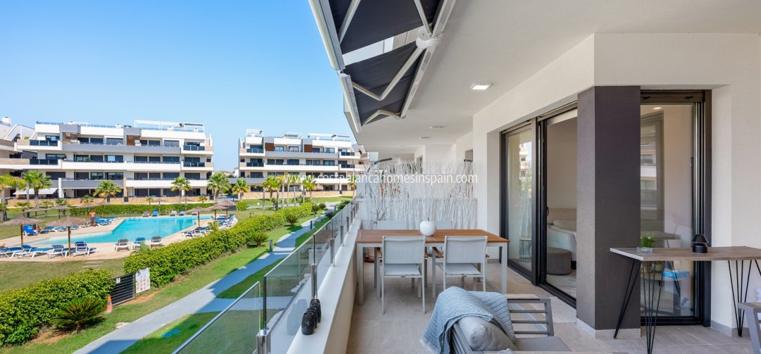 Apartment - Venta - Playa Flamenca - Playa Flamenca