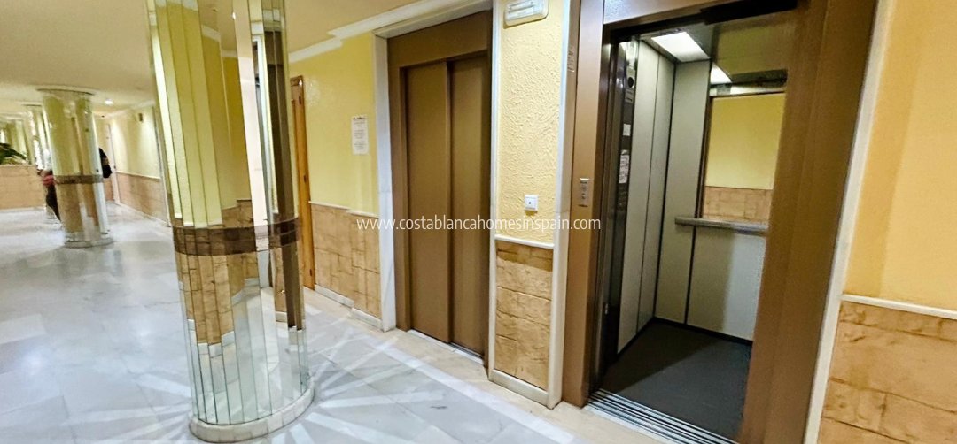 Apartment - Venta - Torrevieja - Torrevieja