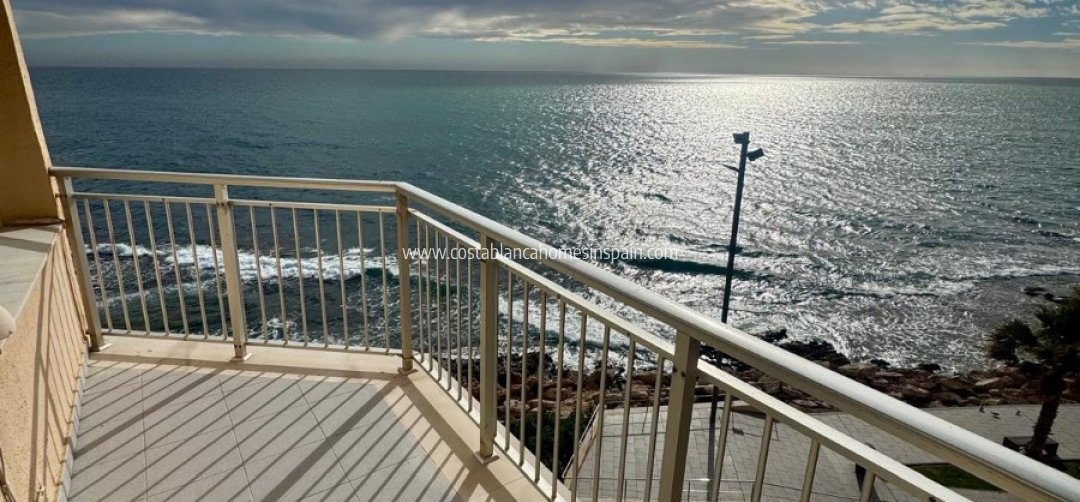 Apartment - Venta - Torrevieja - Torrevieja