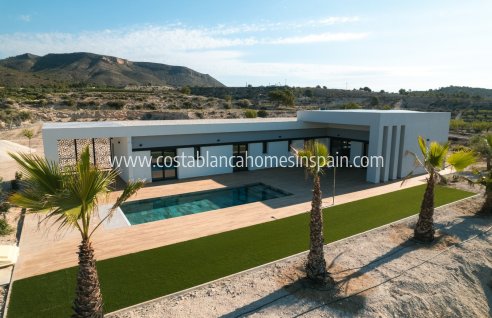 Detached Villa - Nouvelle construction - Pinoso - Pinoso