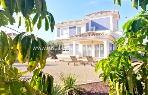 Detached Villa - Nouvelle construction - Purias - Purias