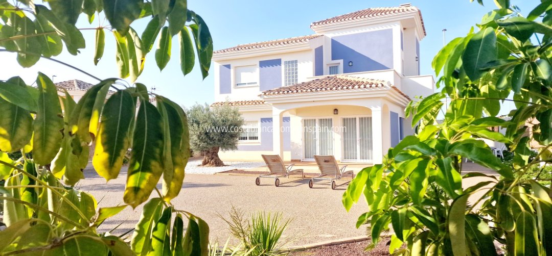 Detached Villa - Nybygg - Purias - Purias