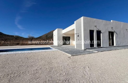 Detached Villa - Új építésű -  - NB-27203