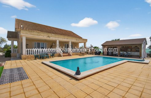 Finca - Sale - Albatera - CV-43815