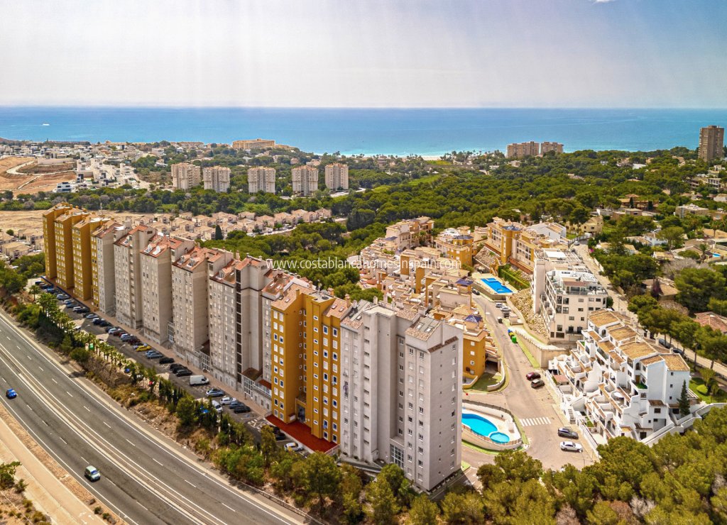 Használt - Apartment - Campoamor - 