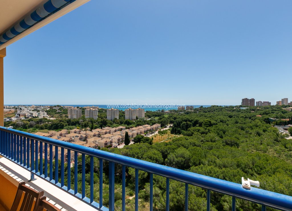 Használt - Apartment - Campoamor - 