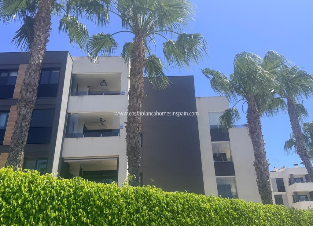 Használt - Apartment - Los Altos - 