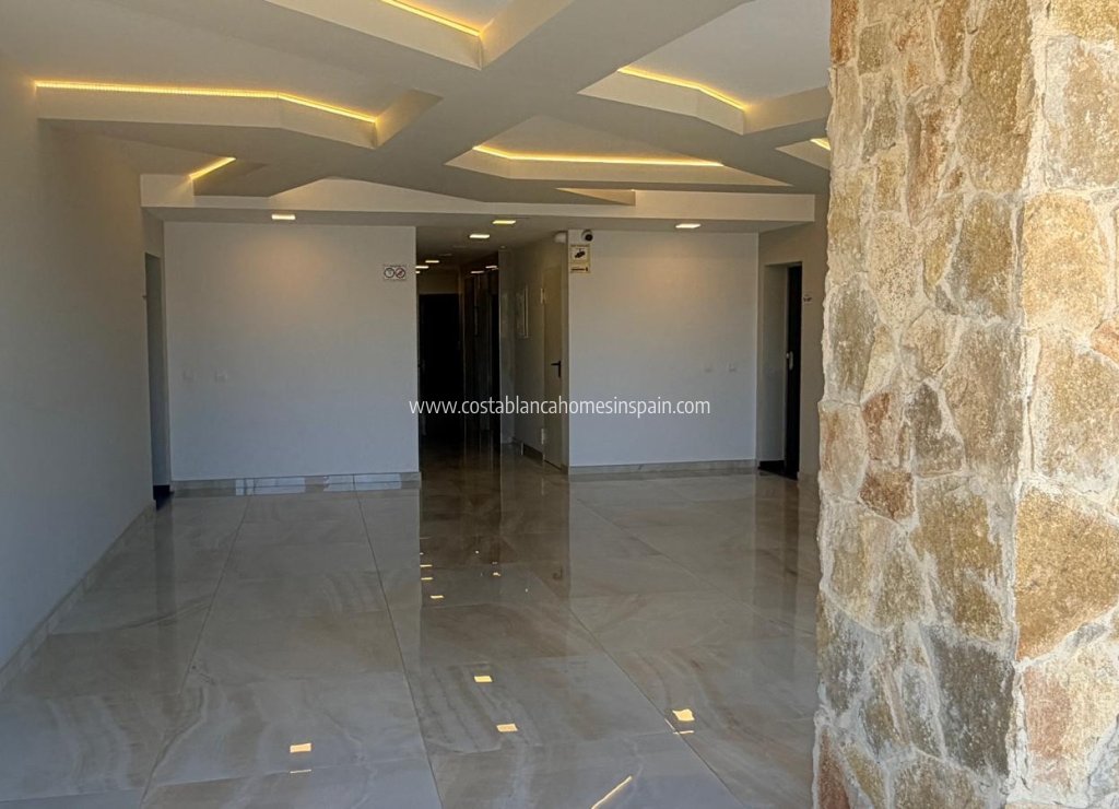 Használt - Apartment - Los Altos - 