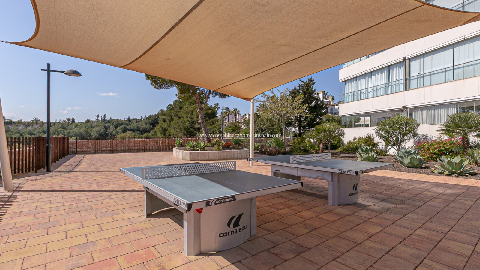 Használt - Apartment - Los Dolses - Pimienta