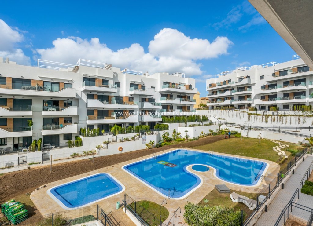 Használt - Apartment - Los Dolses - Villamartin