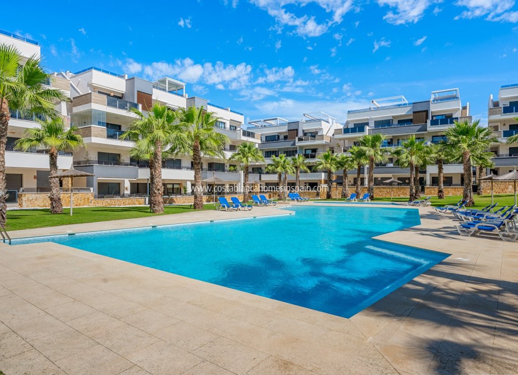 Használt - Apartment - Orihuela Costa - Los Altos