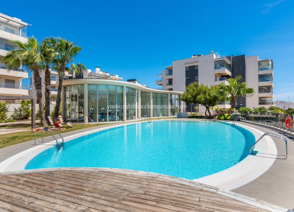 Használt - Apartment - Orihuela Costa - Los Dolses