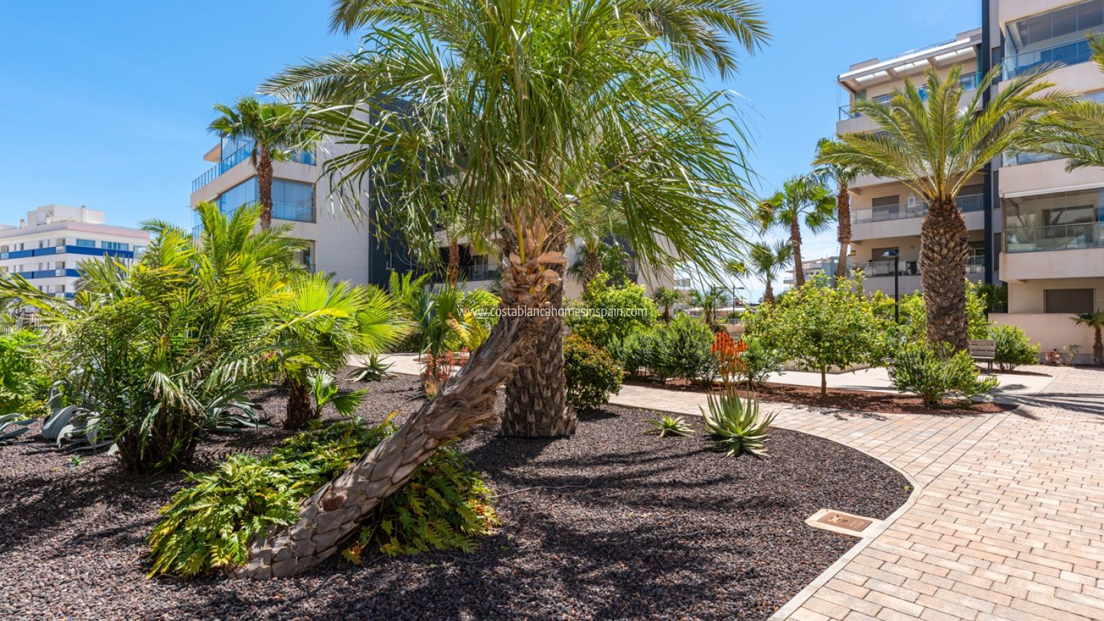 Használt - Apartment - Orihuela Costa - Los Dolses