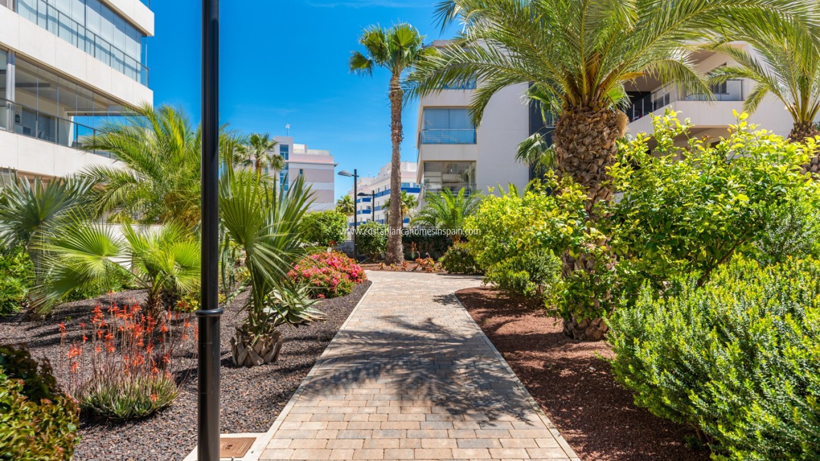 Használt - Apartment - Orihuela Costa - Los Dolses
