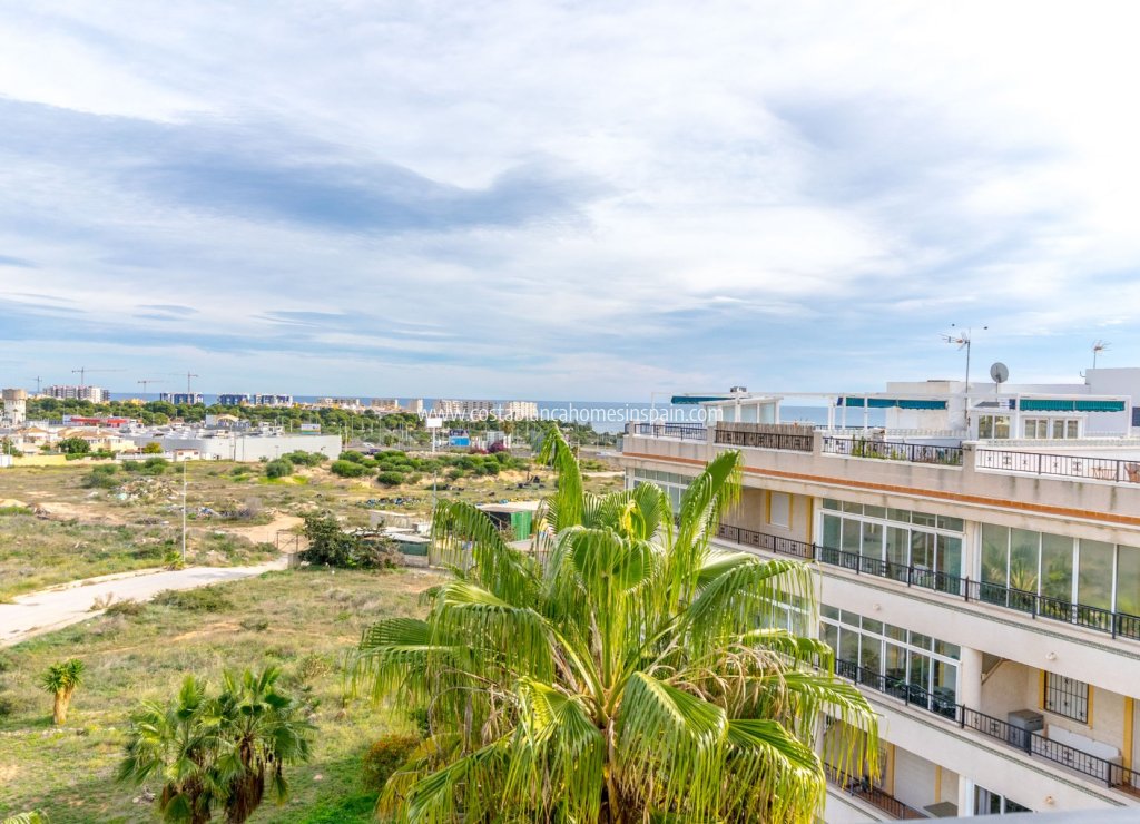 Használt - Apartment - Orihuela Costa - Playa Flamenca
