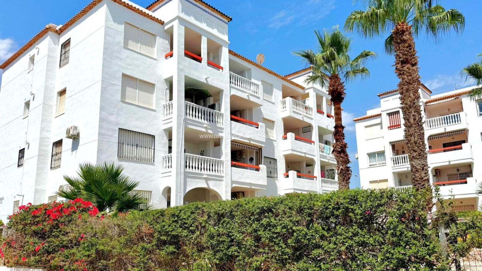 Használt - Apartment - Orihuela Costa - Villamartin