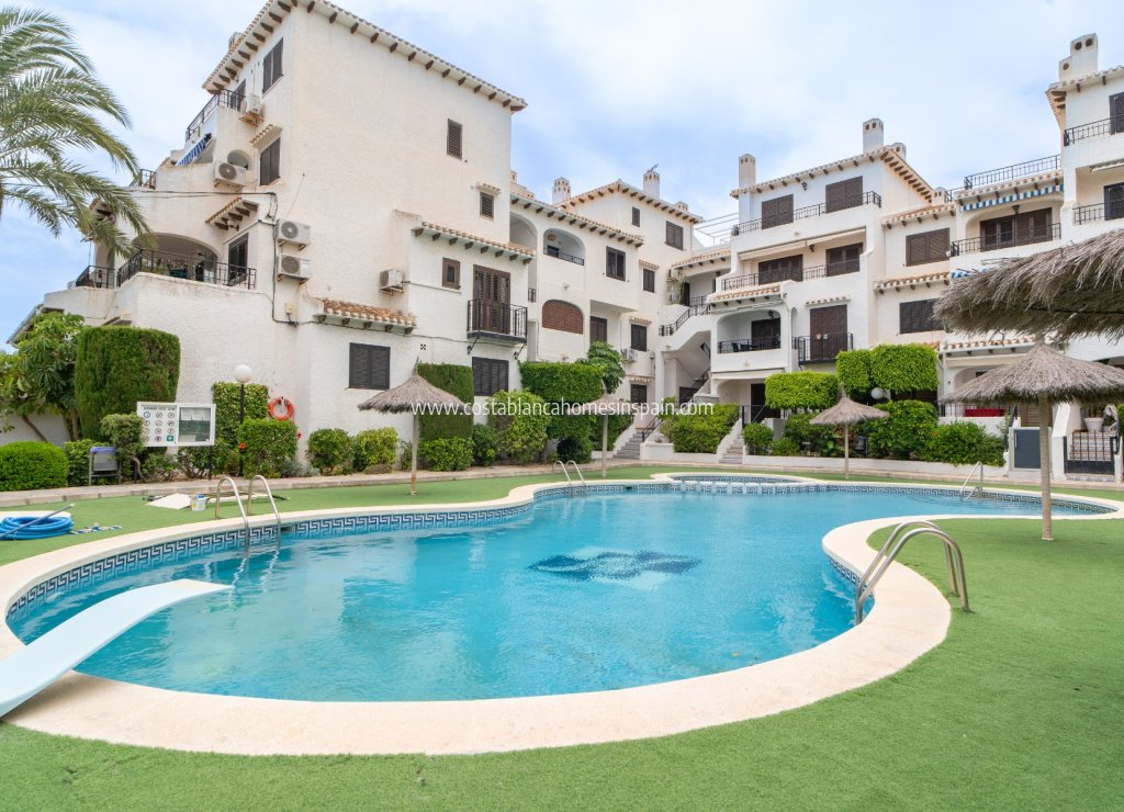 Használt - Apartment - Orihuela Costa - 