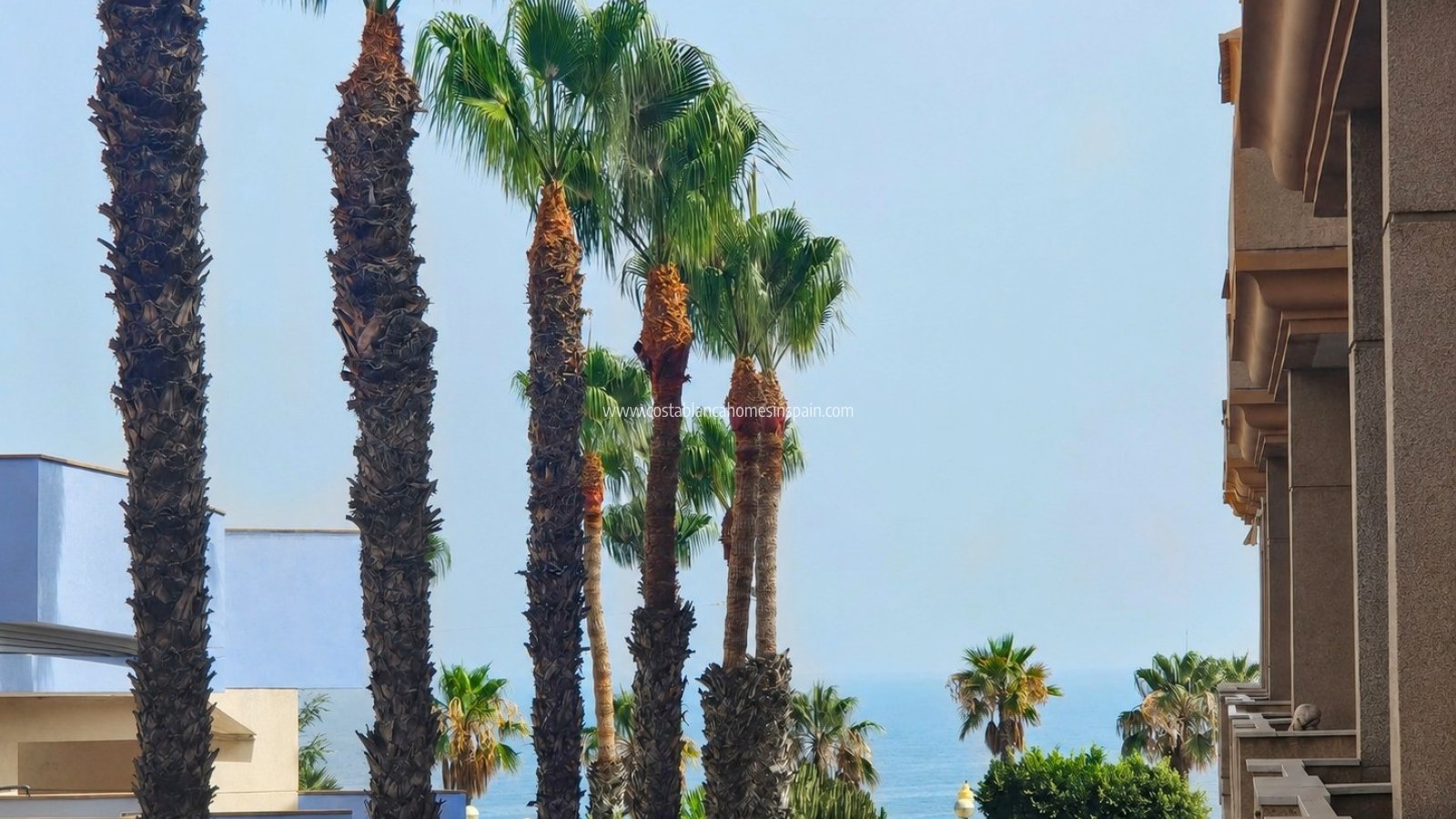 Használt - Apartment - Orihuela Costa - 