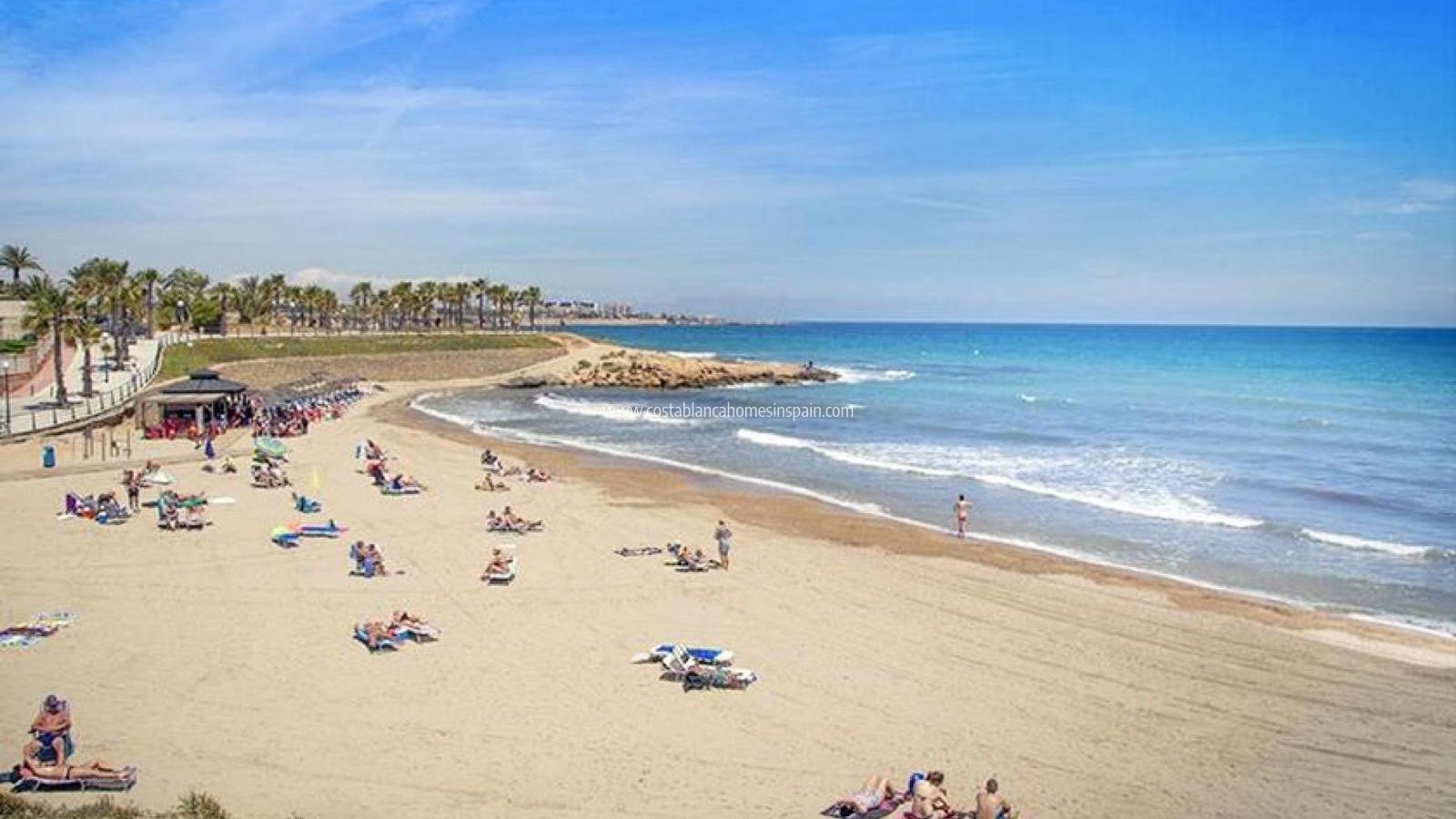 Használt - Apartment - Orihuela - 