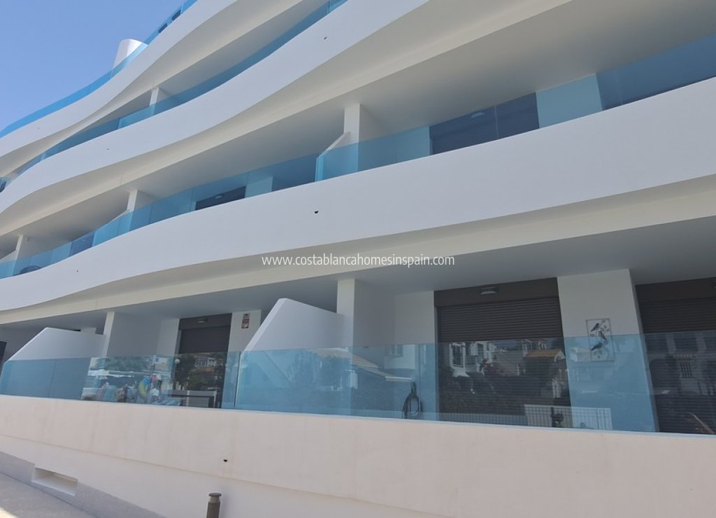 Használt - Apartment - Playa Flamenca - Costa Blanca