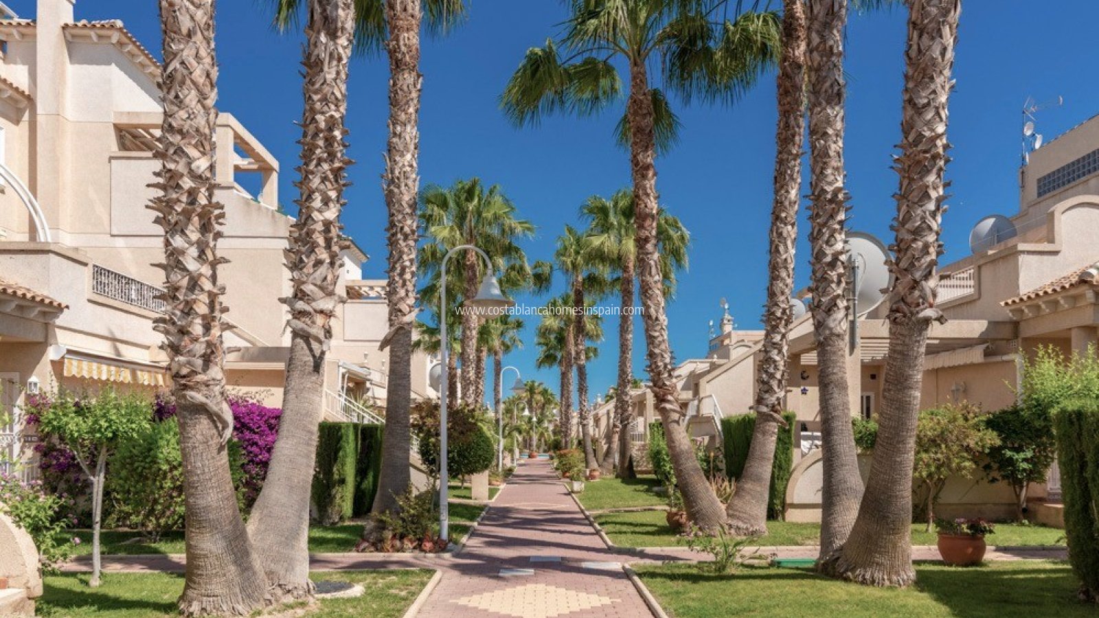 Használt - Apartment - Playa Flamenca - Orihuela Costa