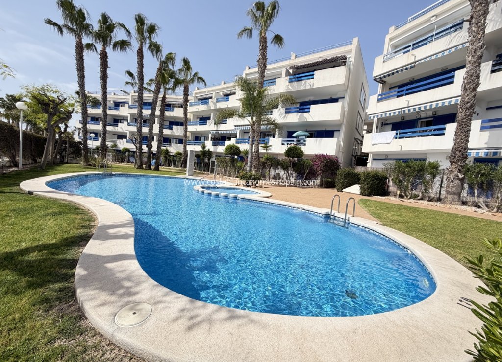 Használt - Apartment - Playa Flamenca - Orihuela Costa
