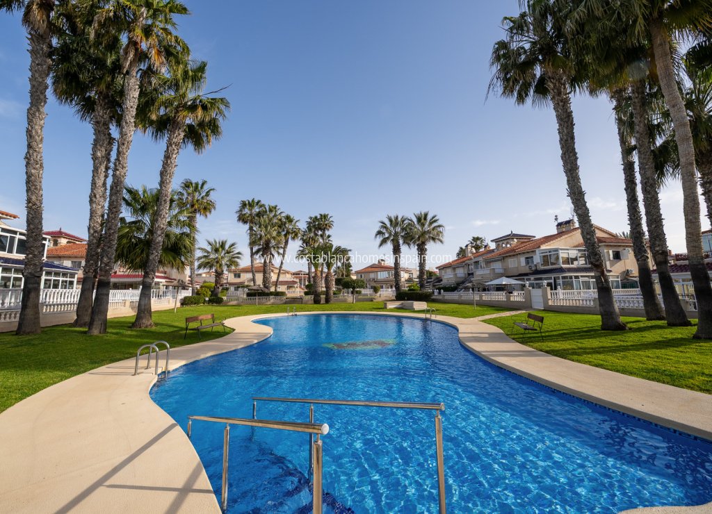 Használt - Apartment - Playa Flamenca - Zenia Mar
