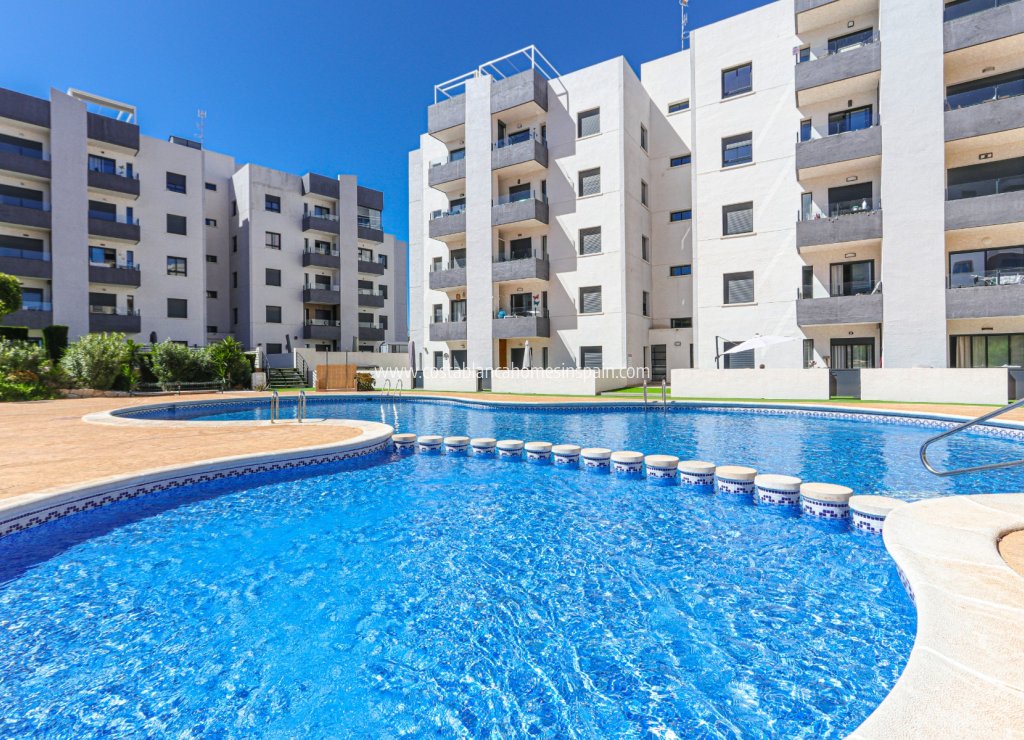 Használt - Apartment - San Miguel de Salinas