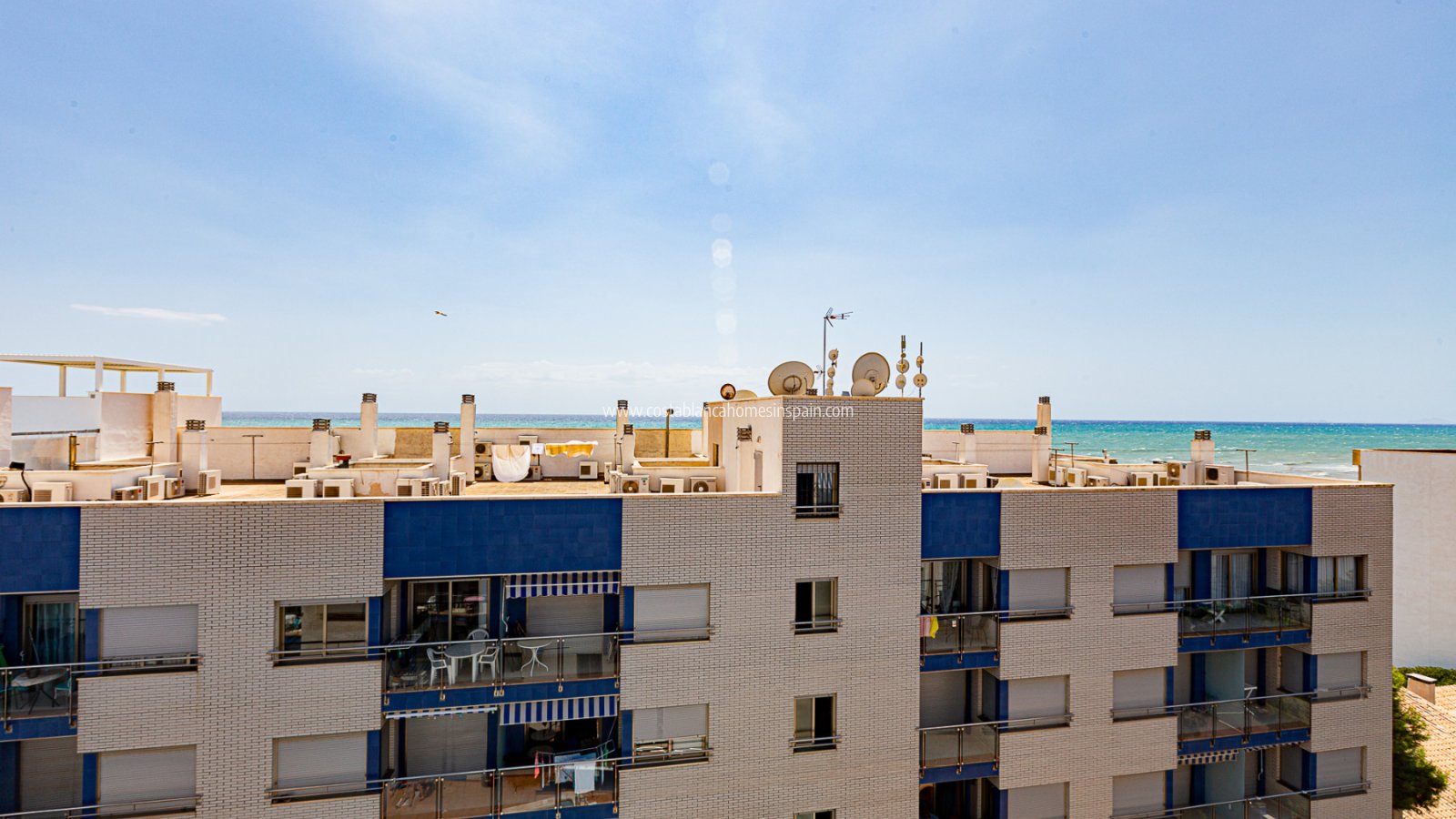 Használt - Apartment - Torrevieja - Beach